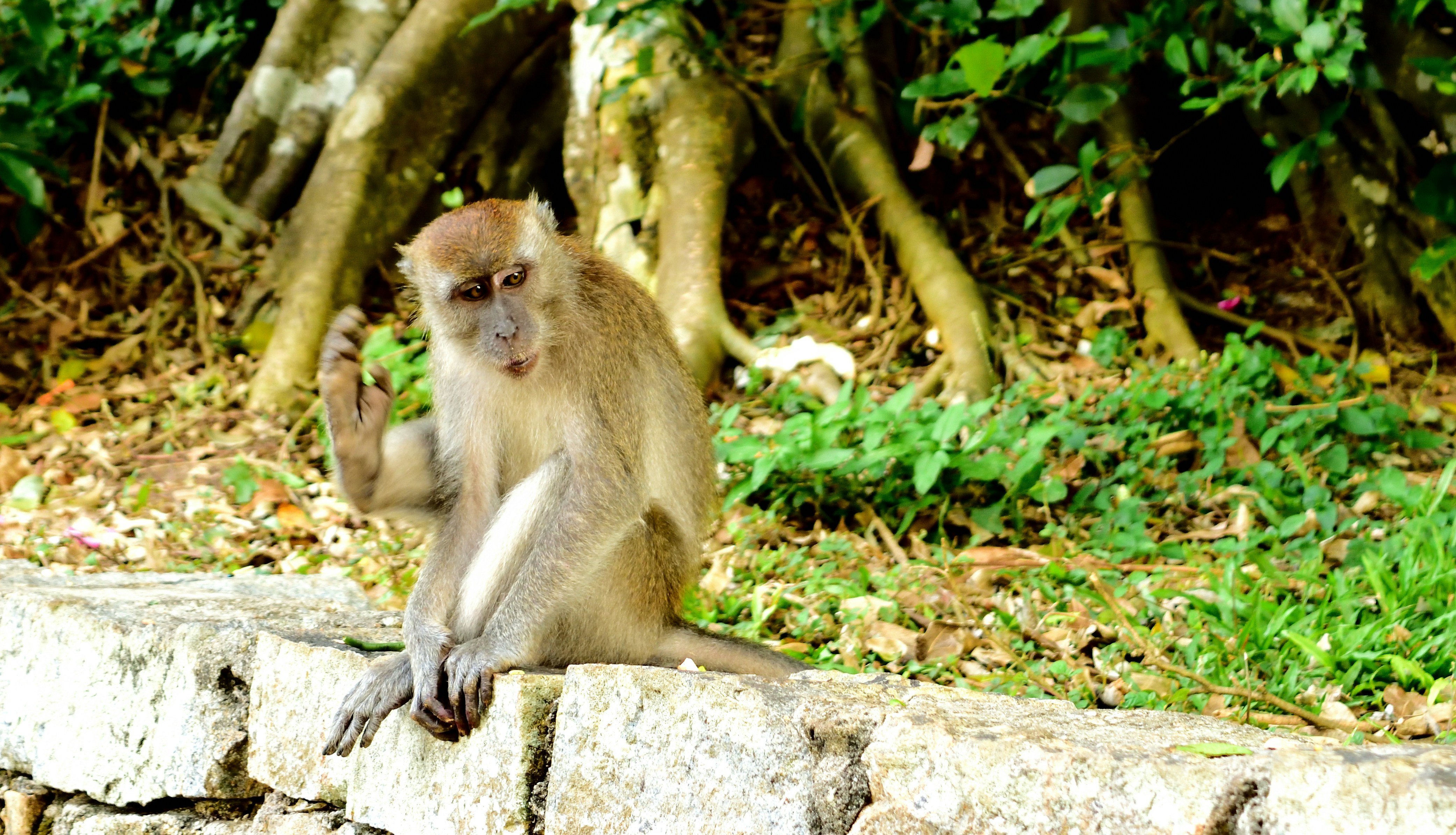 Photo by chungsachorong