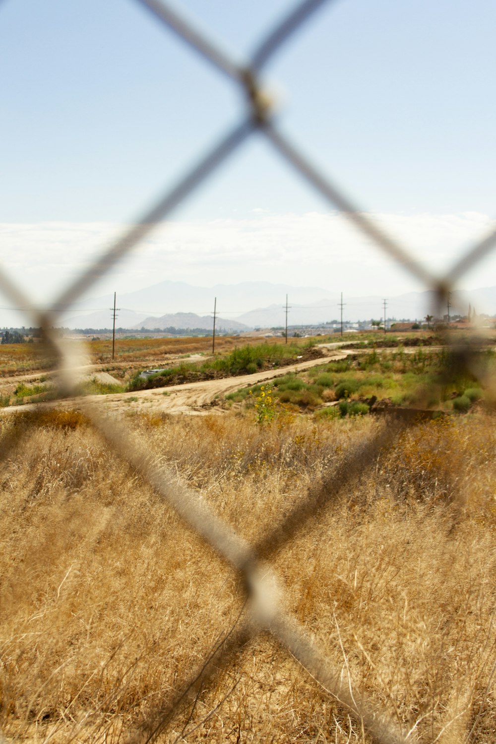 closeup photo of gray mesh-link fence with brown grass view