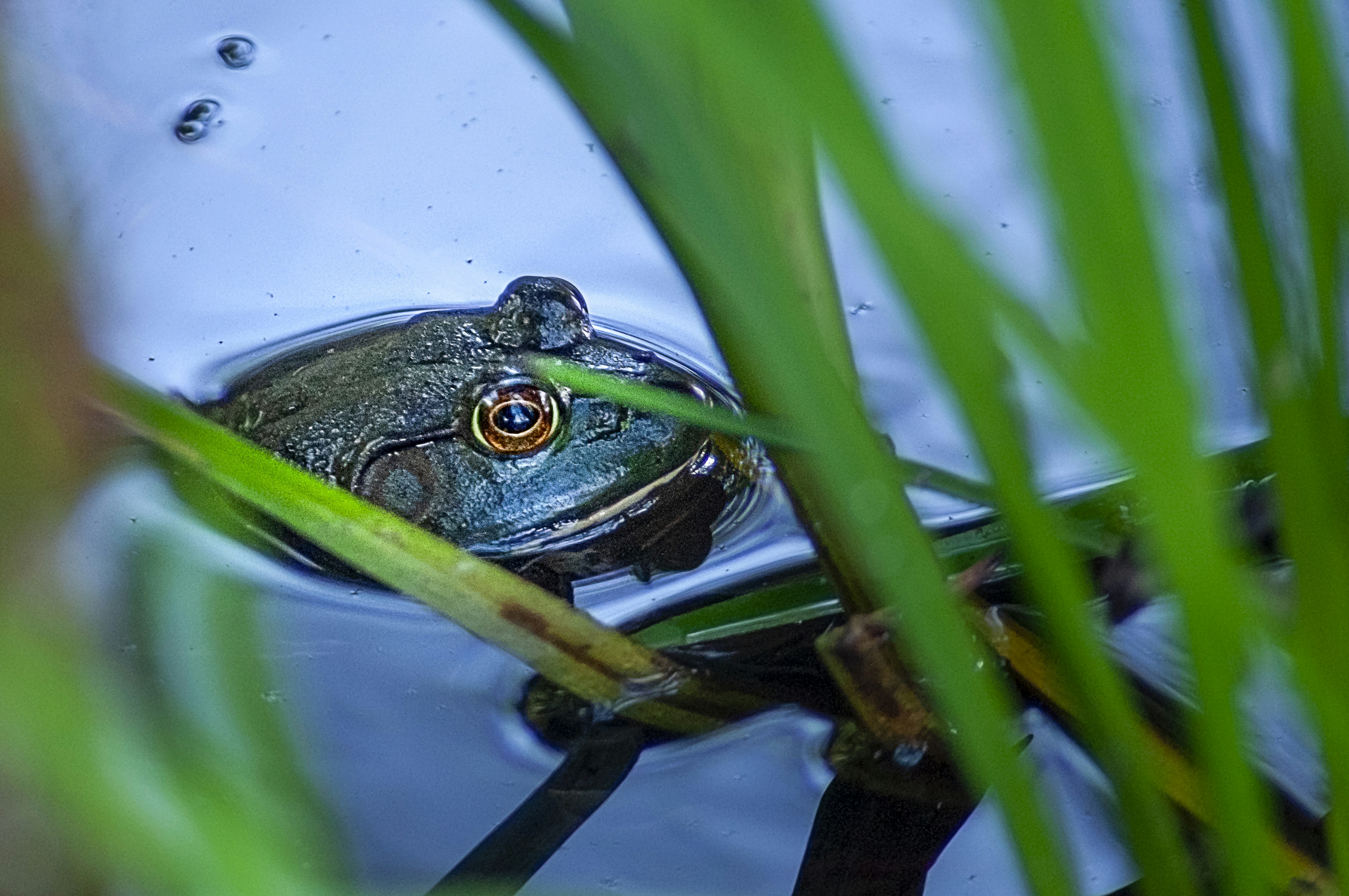 Photo by rthiemann