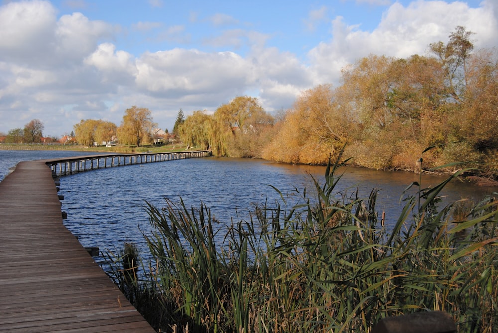 brown dock on lake