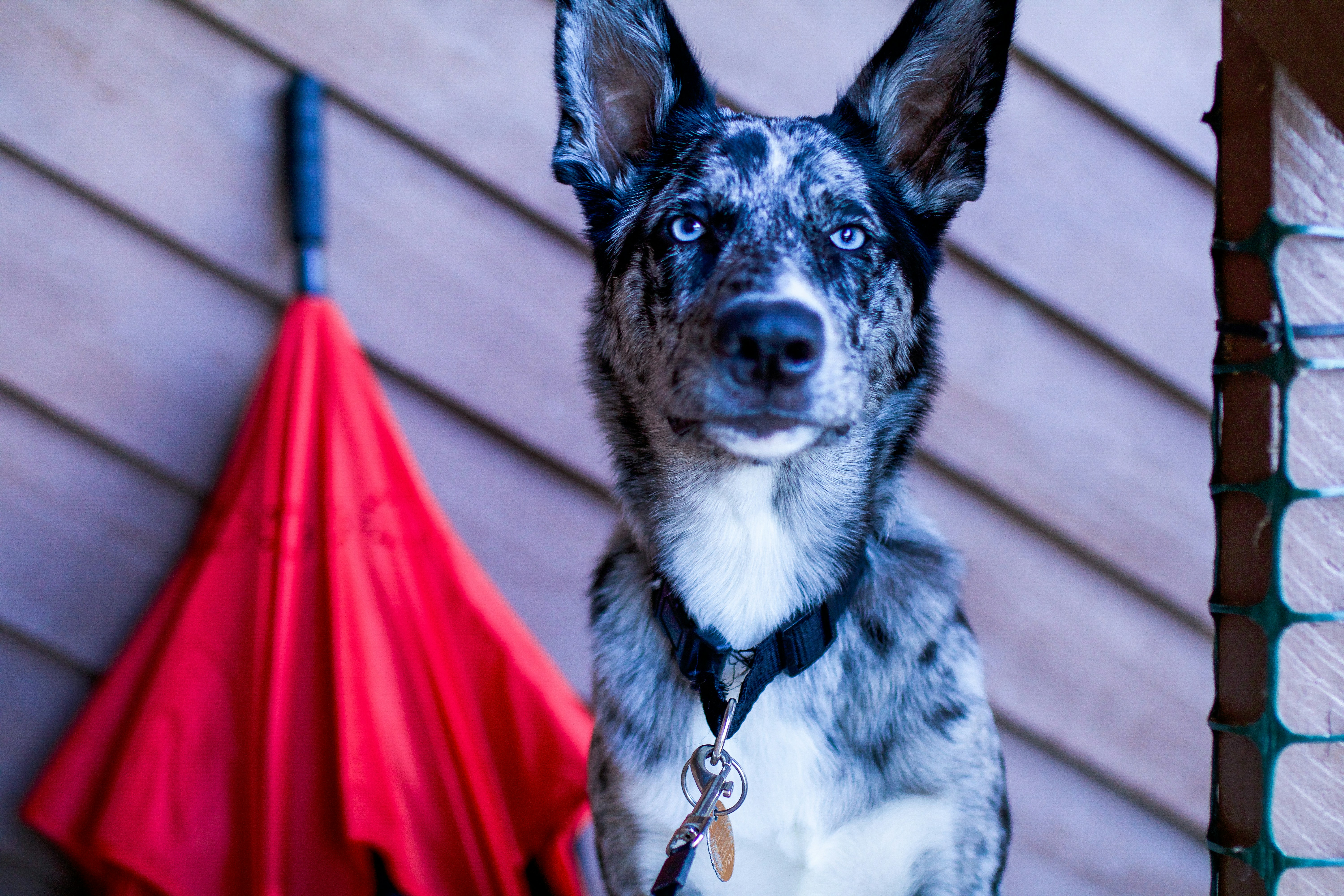 Photo by arguellod22