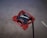 A red golf putter head with a modern shape, featuring the brand name TaylorMade and the model name Spider written on it. The putter has a glossy finish and is designed with a mix of sharp and smooth edges for improved performance.