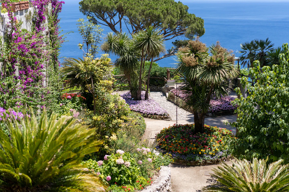 Jardin méditerranéen aménagé dans les Alpes-Maritimes (06), Côte d'Azur