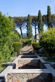 A freshly trimmed row of ornamental shrubs lining a navy blue stone pathway.