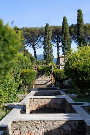 A freshly trimmed row of ornamental shrubs lining a navy blue stone pathway.