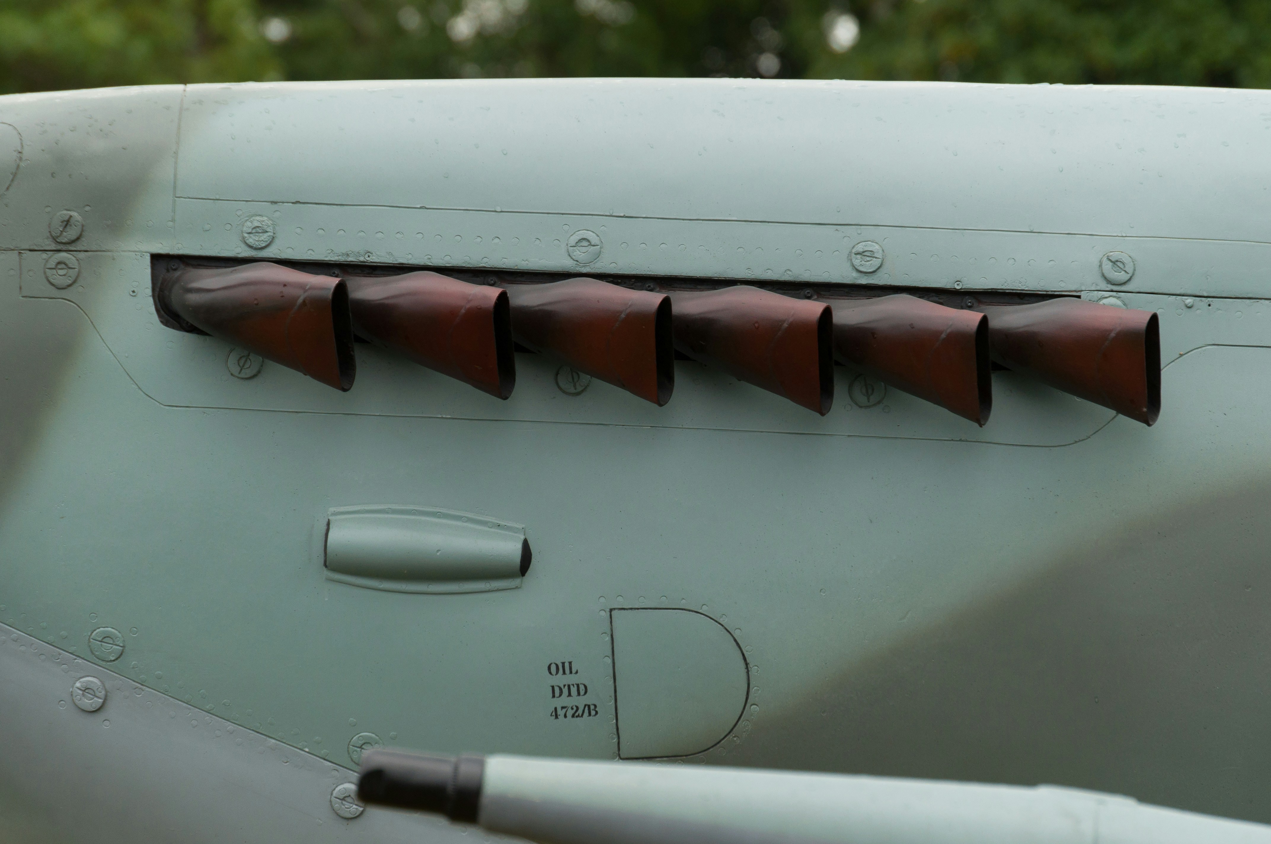 photo-1567013909336-90ca363250a8?ixid=M3wxMjA3fDB8MXxzZWFyY2h8Nnx8cmliYm9uJTIwdGFpbCUyMHRyYWNlJTIwcmlmbGV8ZW58MHx8fHwxNzYzMDI2OTM1fDA\u0026ixlib=rb-4.1.0