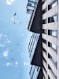 grey concrete building