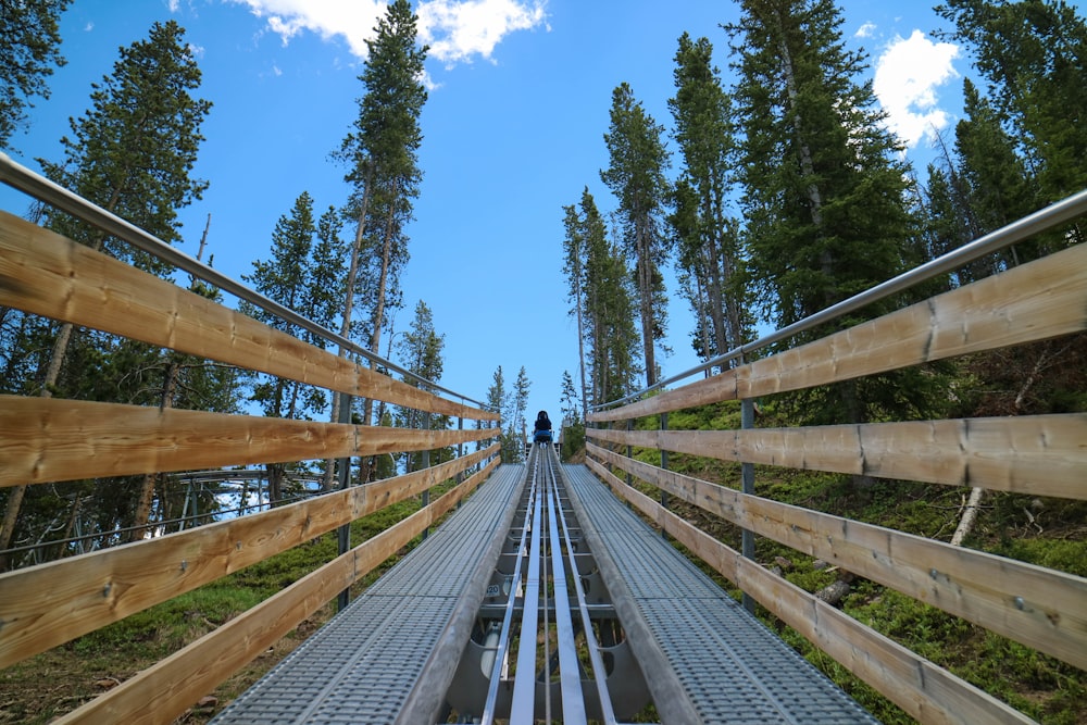 Un binario ferroviario che attraversa una foresta in una giornata di sole