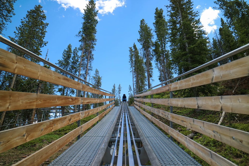 a train track going through a forest on a sunny day