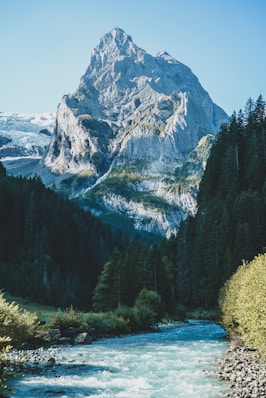 close-up photography of mountain