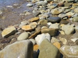 Smooth, rounded beach stones glistening under natural light.