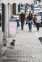 A lively street scene features a small, leashed dog standing on the sidewalk near a storefront. In the background, various pedestrians, including men and women, walk along the street. Cars are parked on the right side. A sale sign stands near the store, adding to the bustling urban atmosphere.