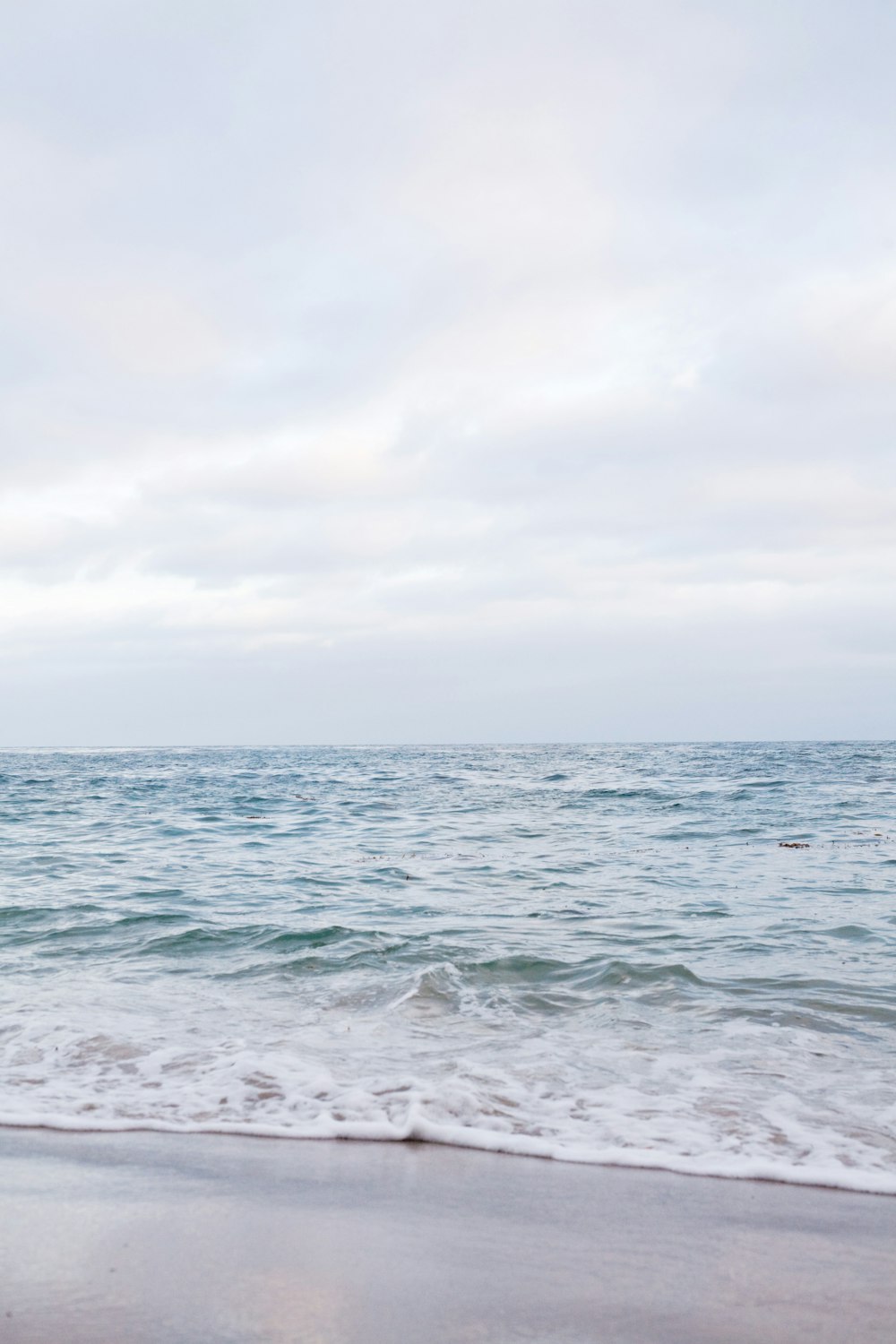 seashore during daytime