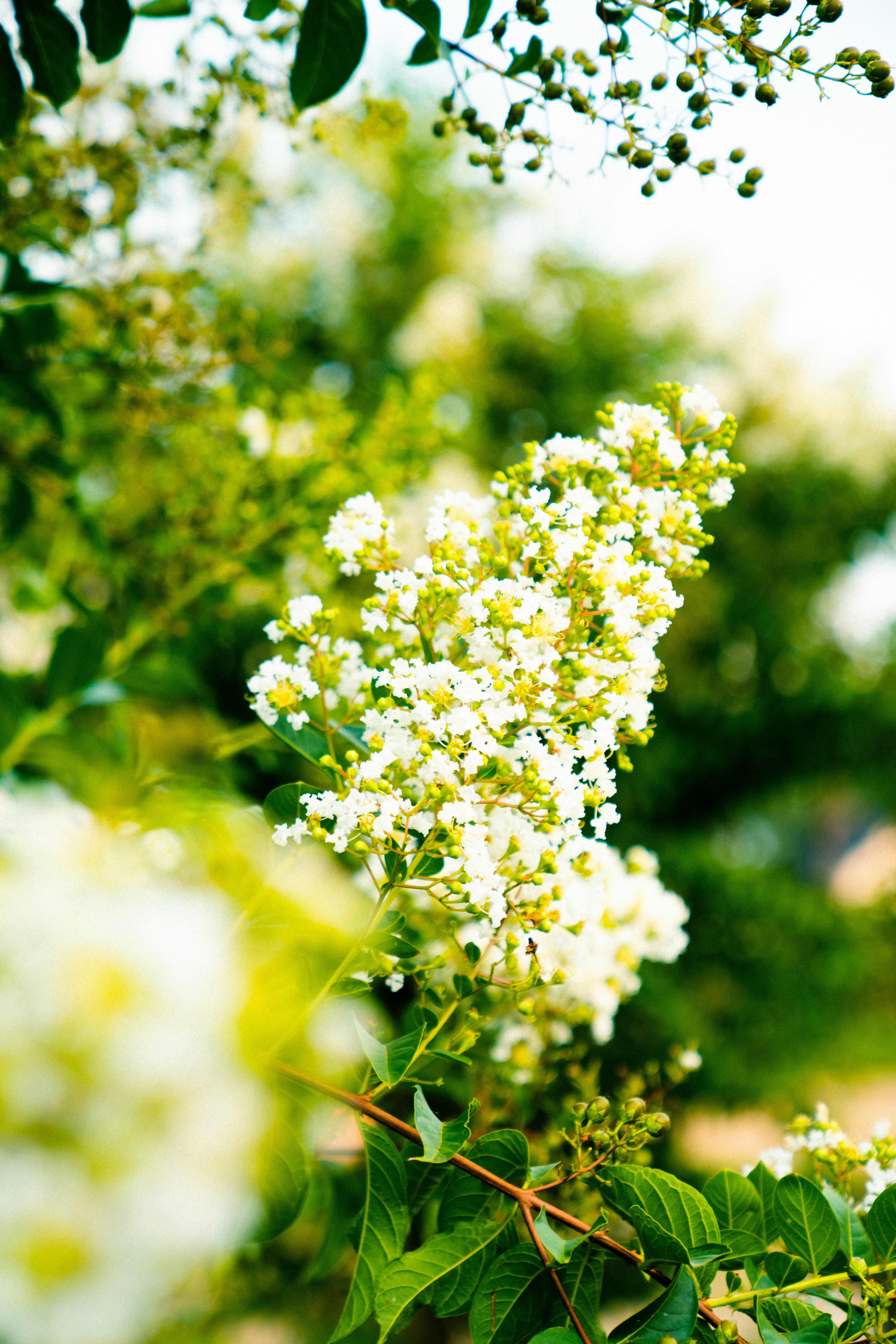 Photo by whitfieldjordan