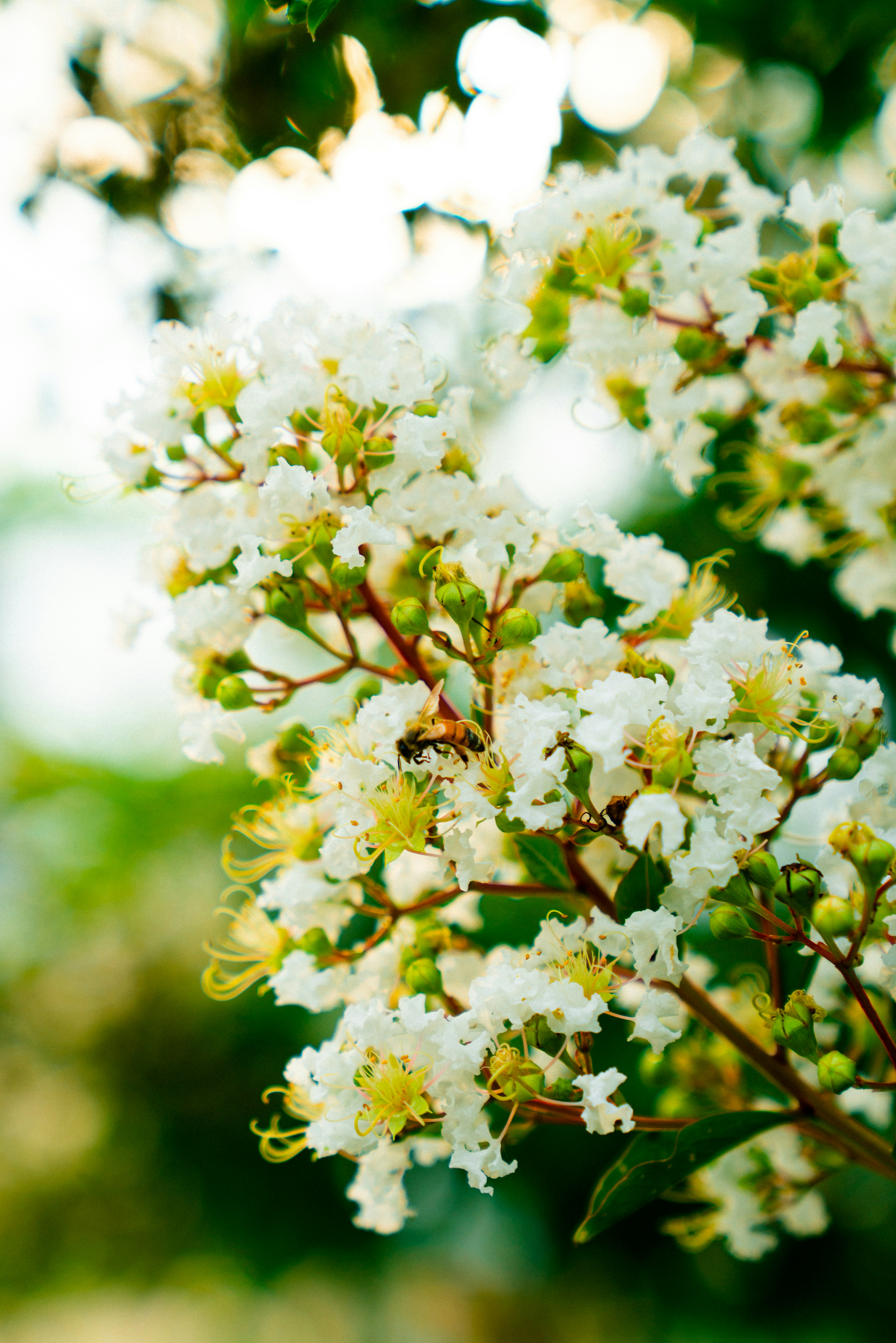 Photo by whitfieldjordan