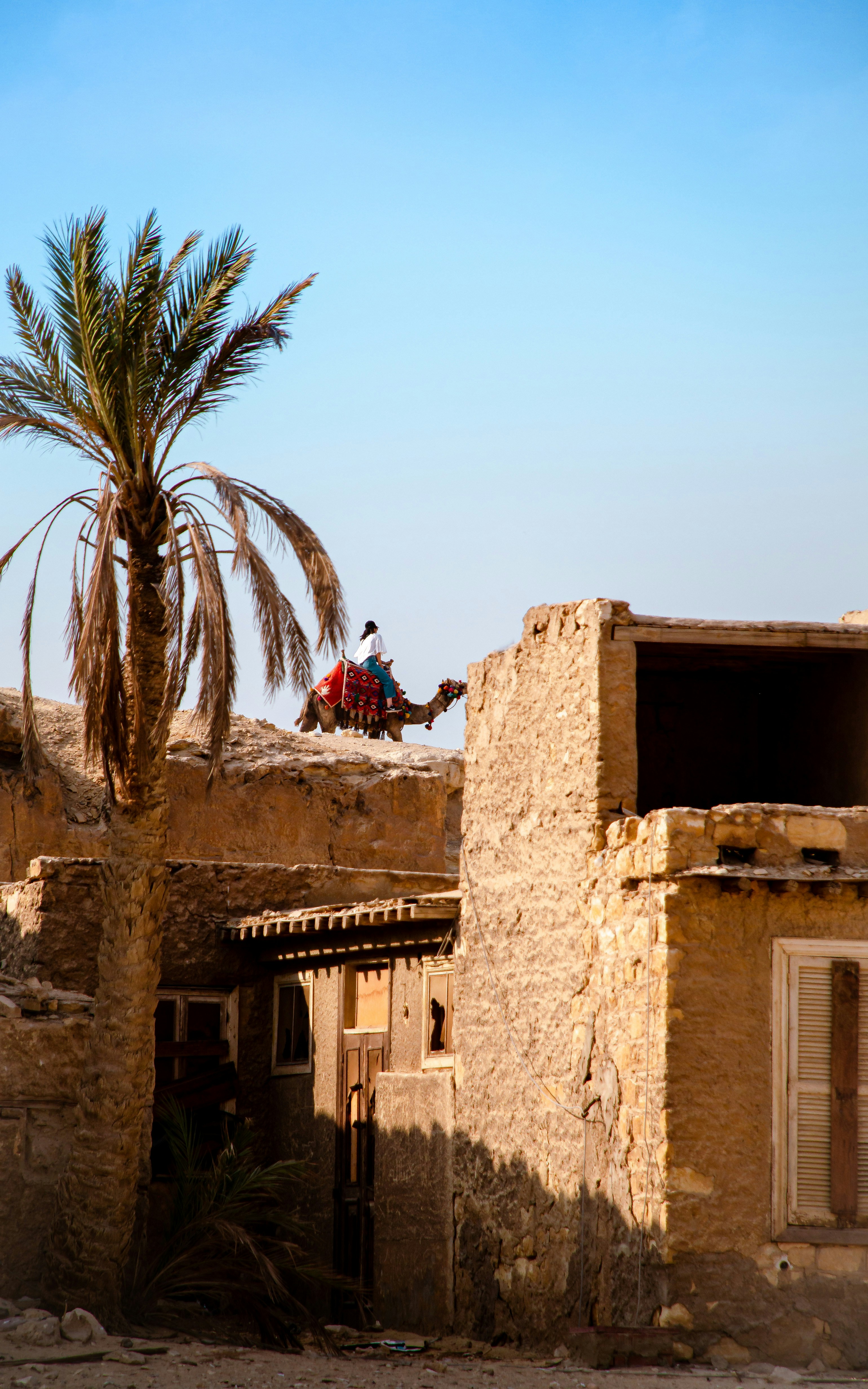 Photo by ammarelamir