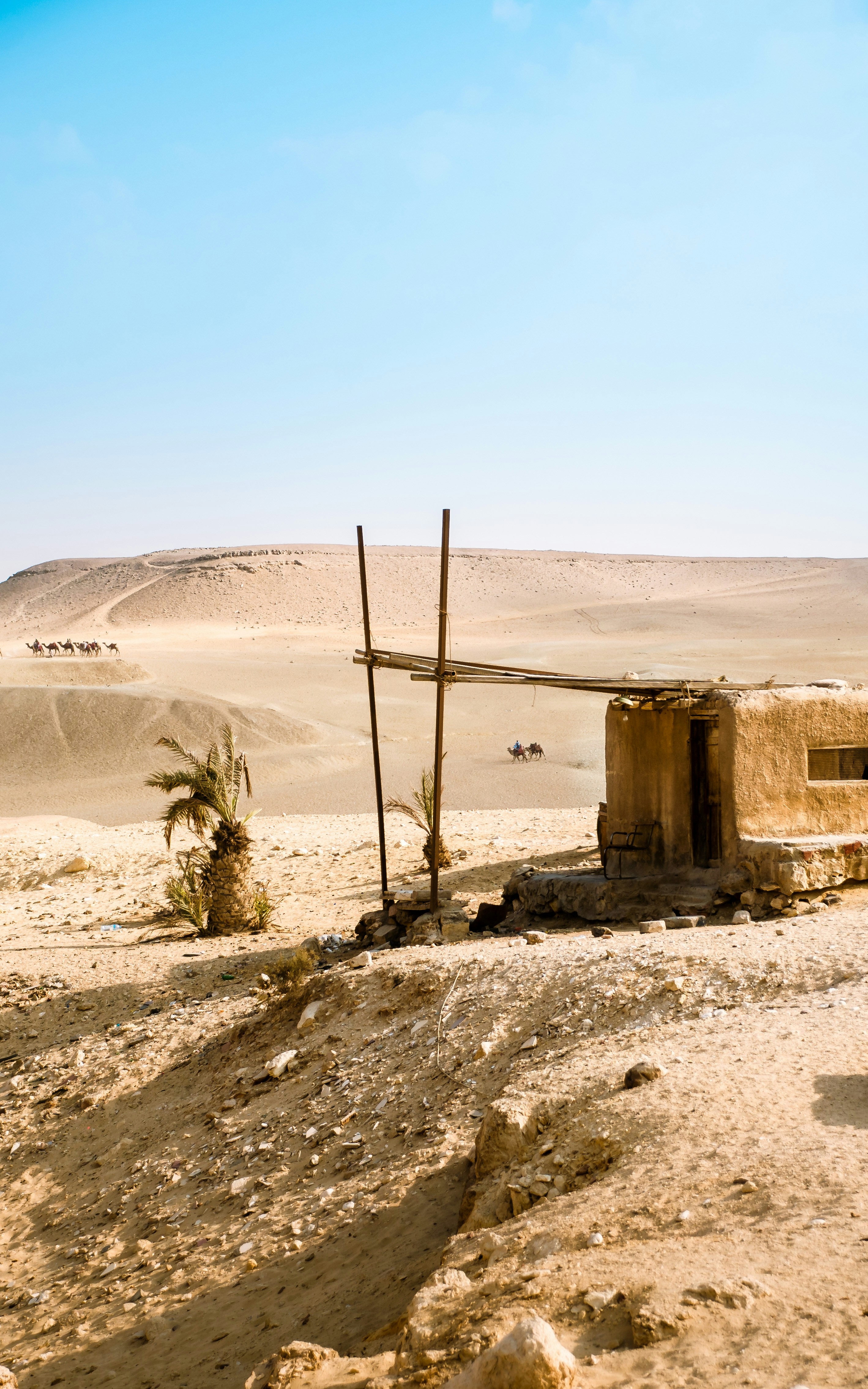 Photo by ammarelamir