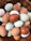 Close-up of a basket filled with vibrant brown and white organic eggs from pasture-raised hens.