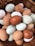 A wicker basket filled with a variety of farm eggs, displaying a range of colors from white to deep brown, including some pale green and blue hues. The eggs are different sizes and textures, lying closely together, creating a natural and rustic appearance.