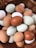 A wicker basket filled with a variety of farm eggs, displaying a range of colors from white to deep brown, including some pale green and blue hues. The eggs are different sizes and textures, lying closely together, creating a natural and rustic appearance.