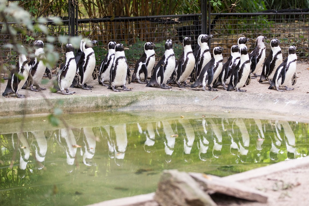 Wildlife photo spot Plantage Middenlaan 53 Amersfoort Zoo