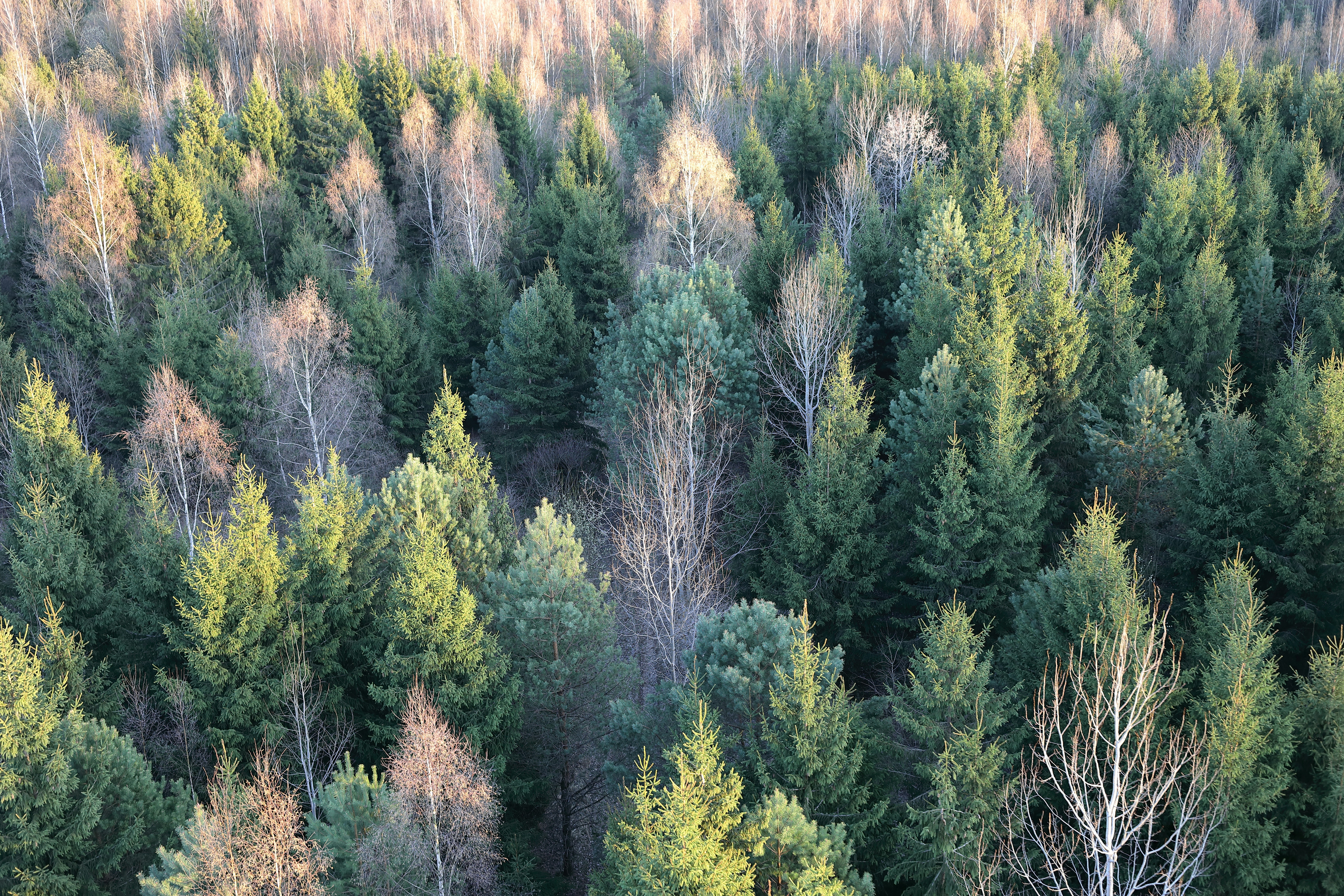 Photo by maksimshutov