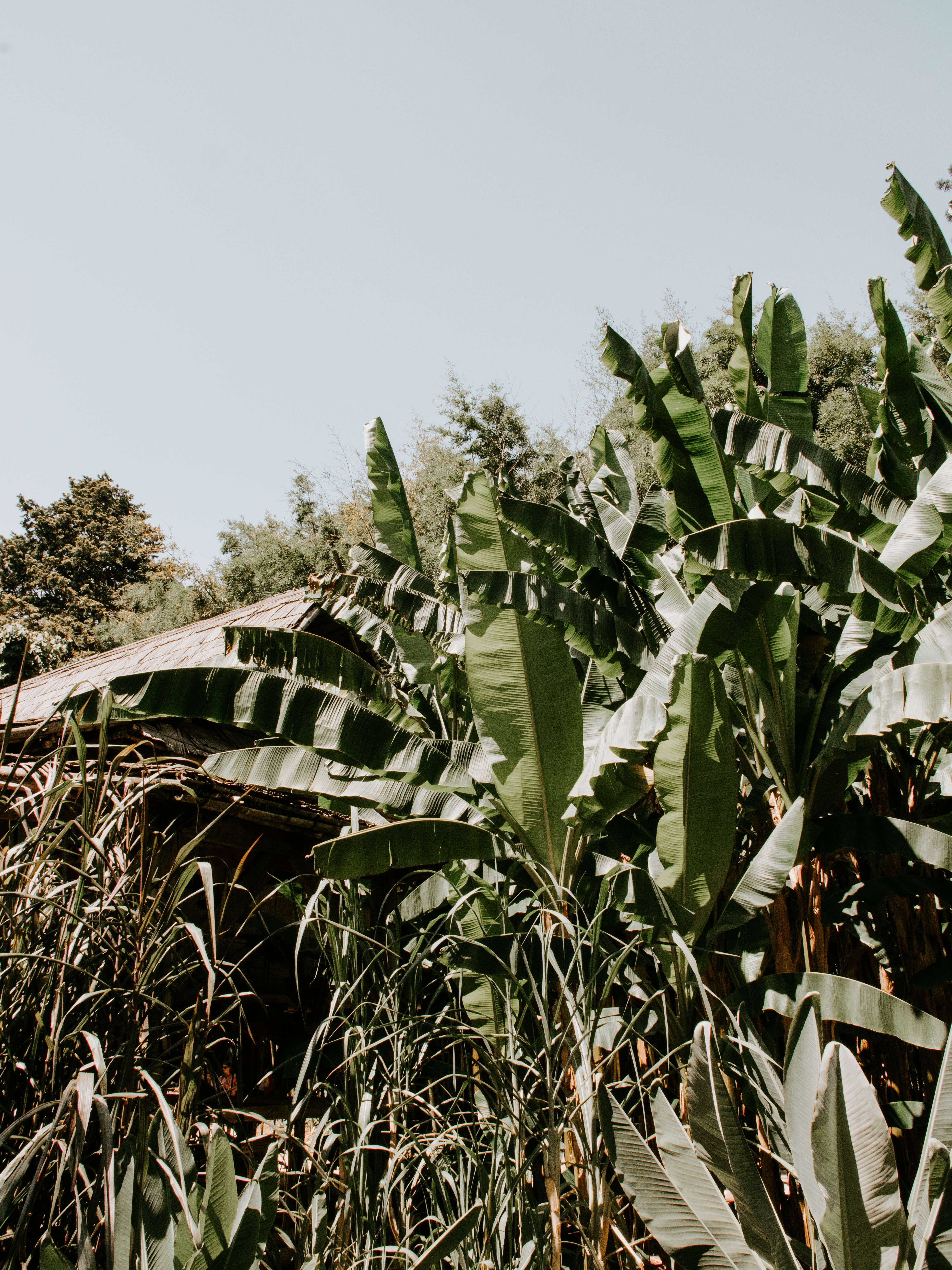 Photo by yan_berthemy_photography