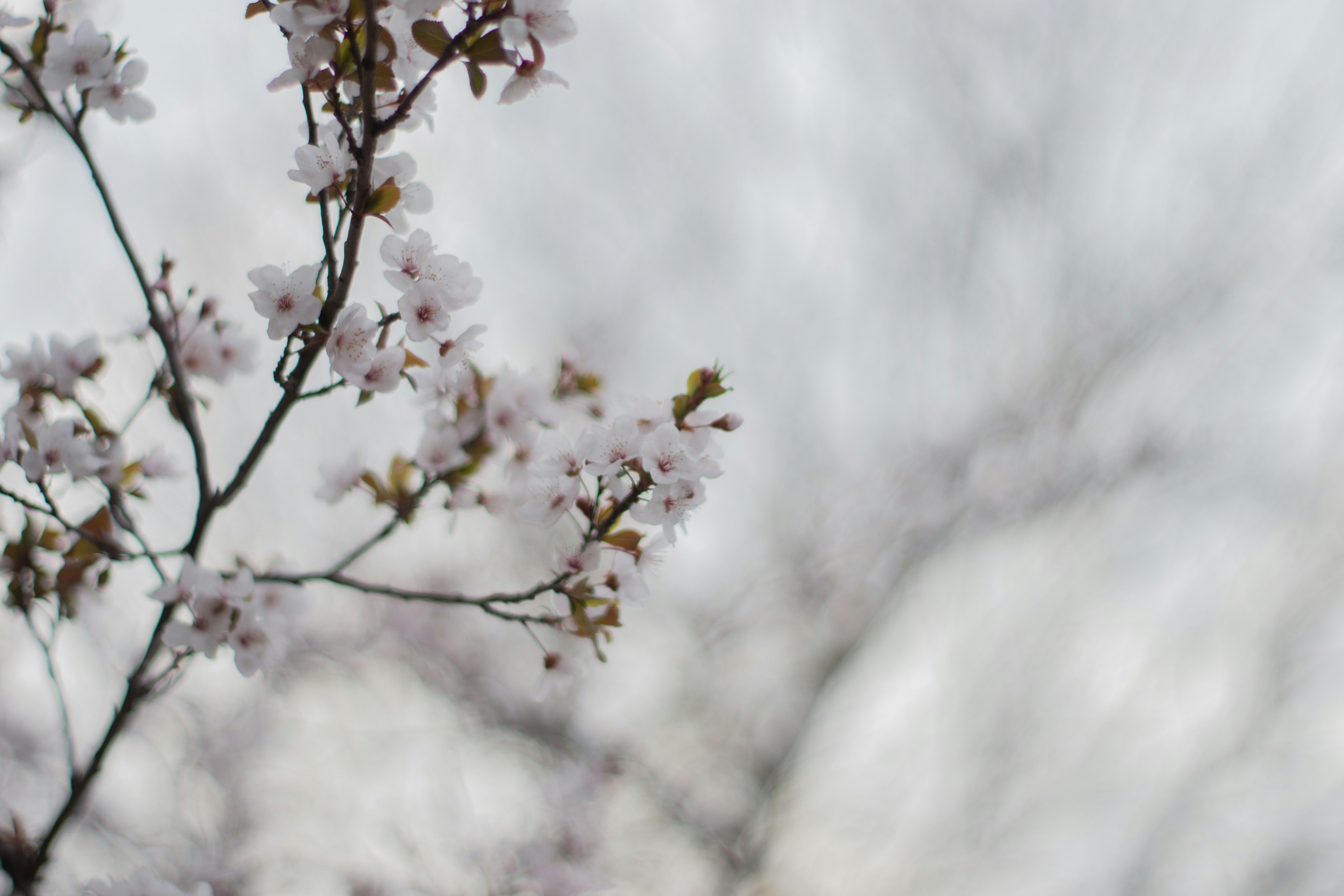 Photo by agustinfernandez