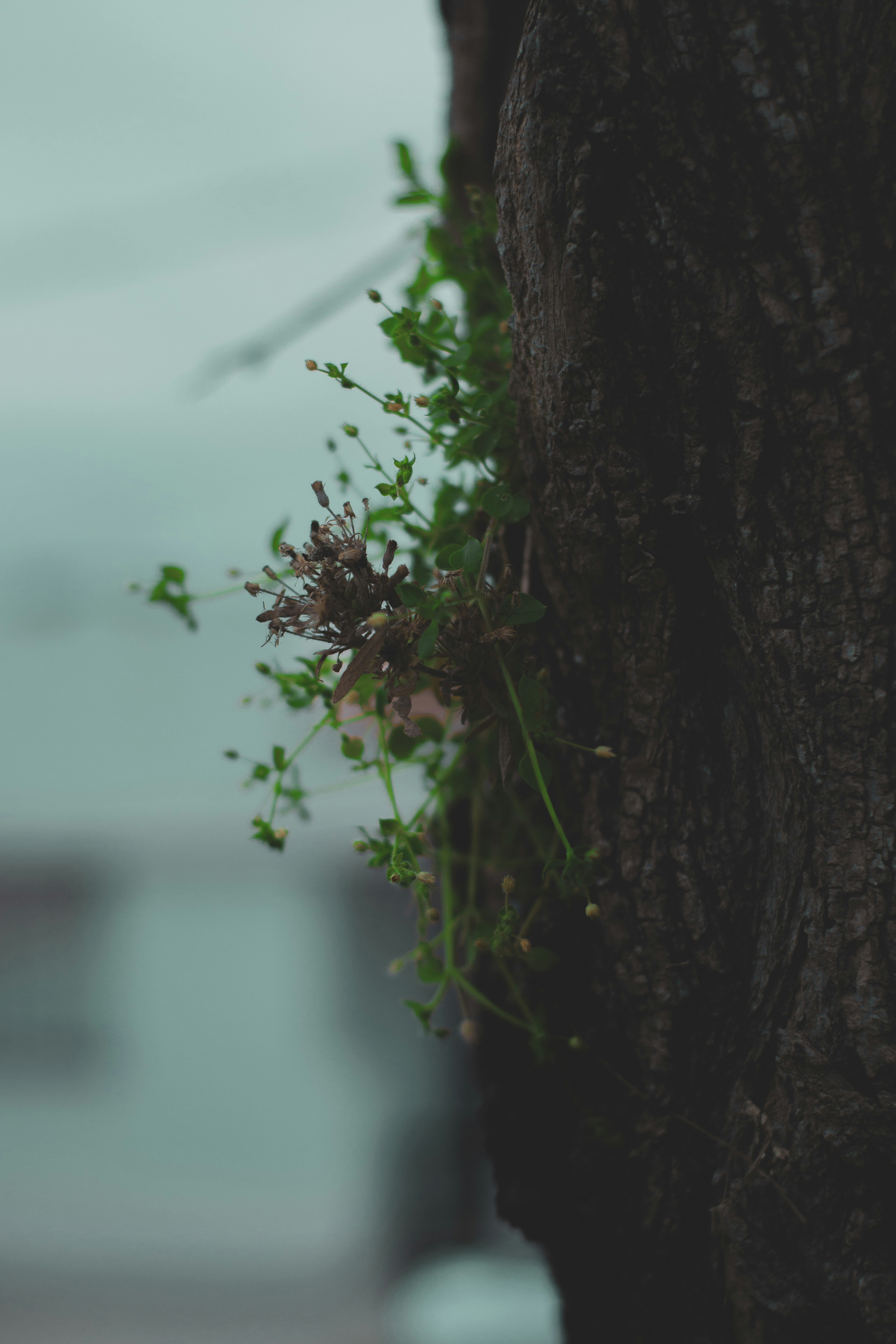 Photo by agustinfernandez