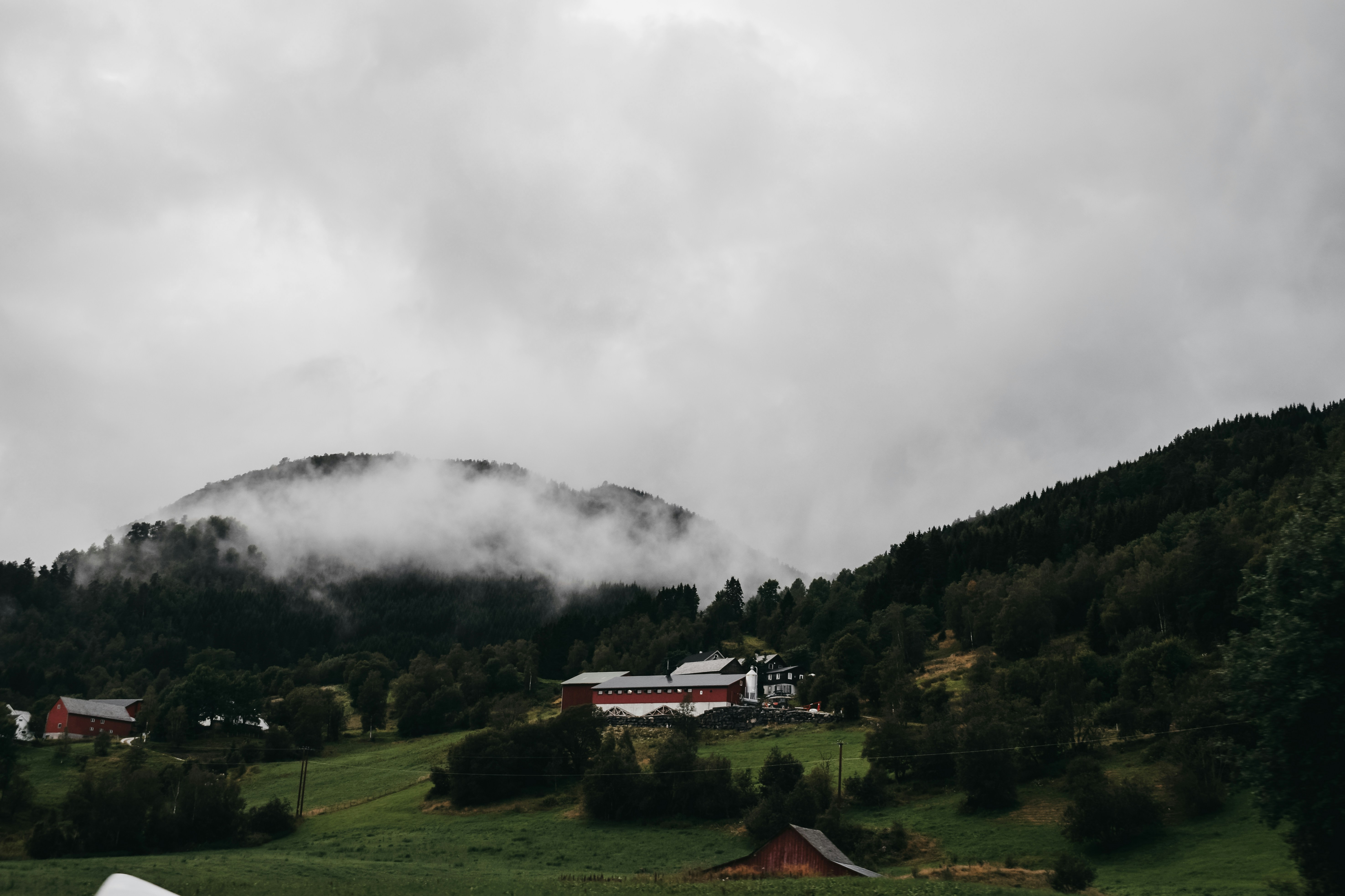 Photo by darya_tryfanava