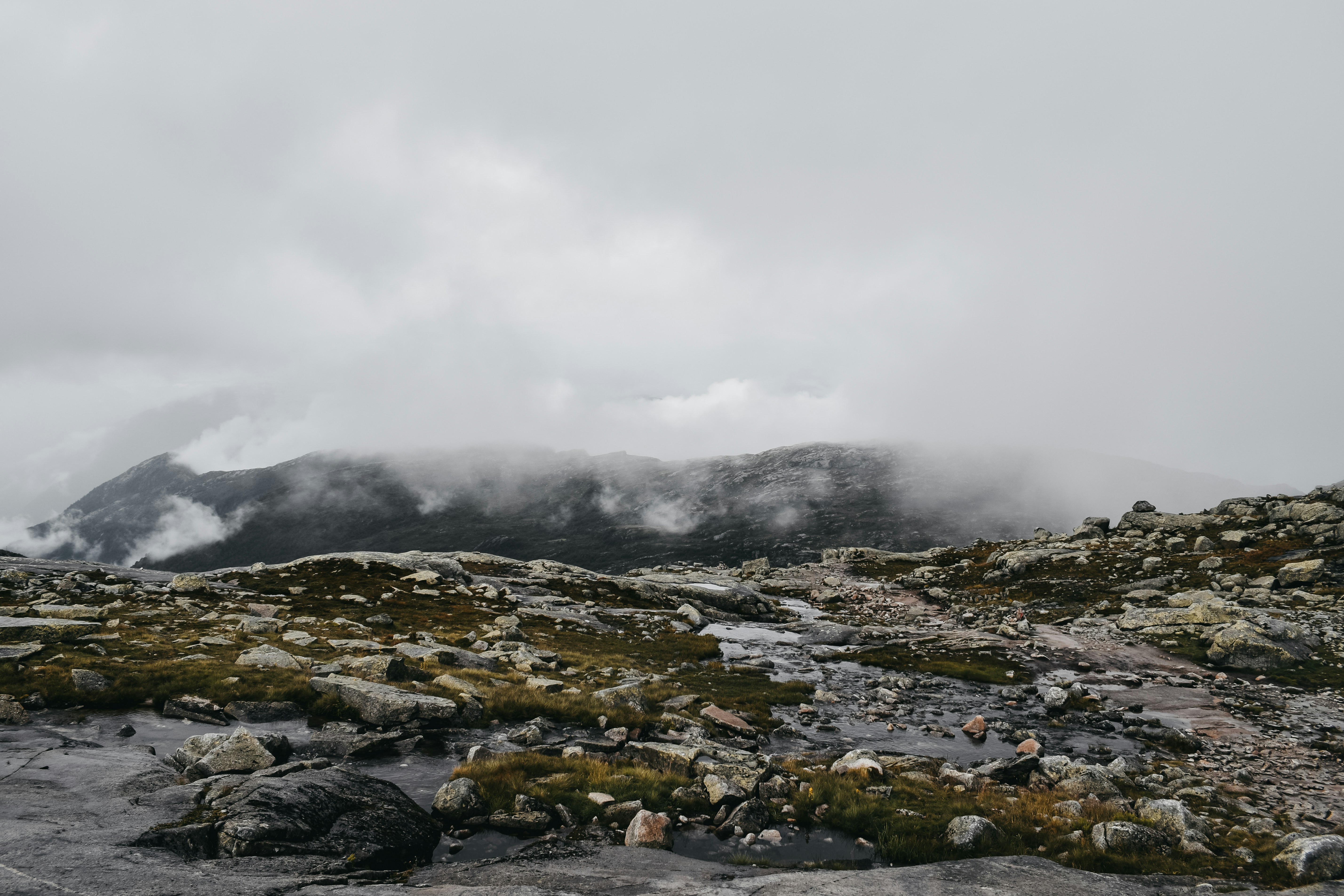 Photo by darya_tryfanava