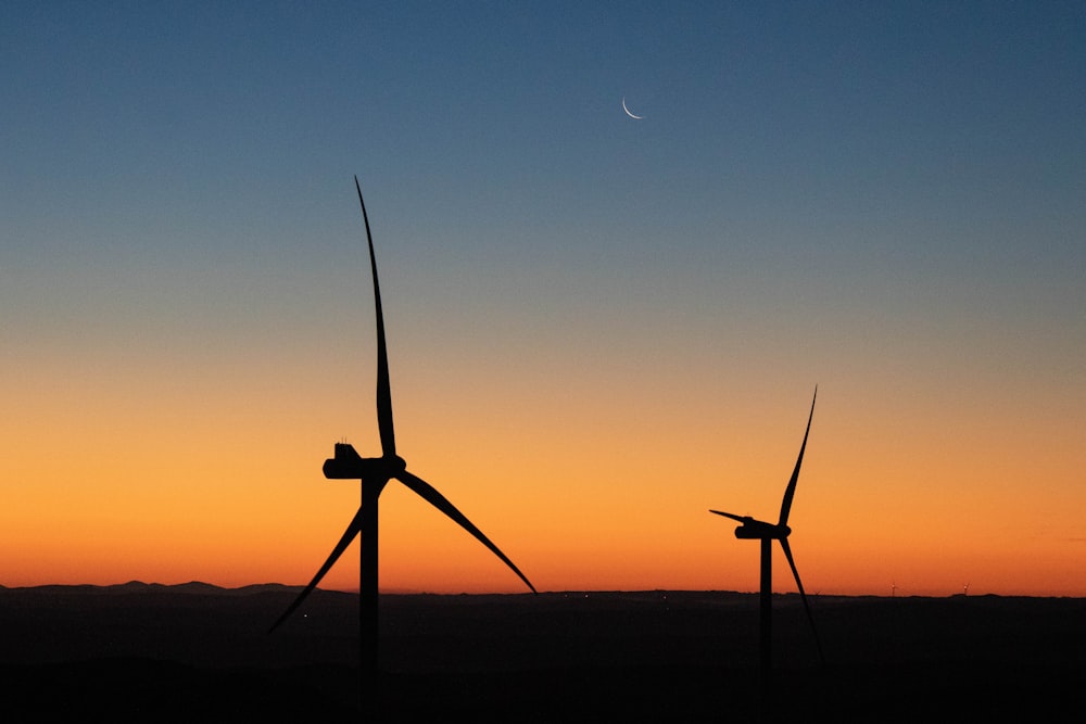 windmills during golden hour