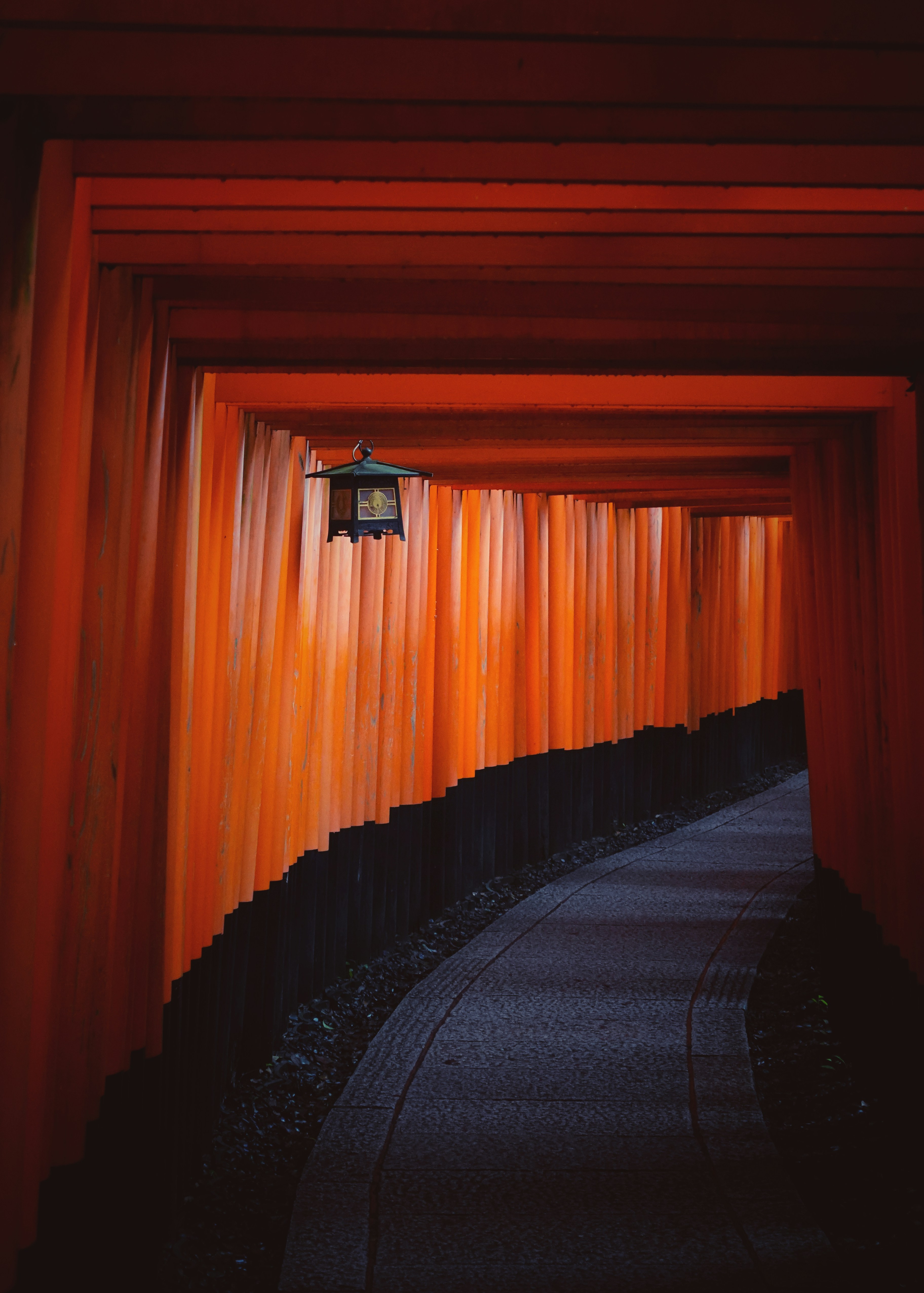 Photo by rissun_line