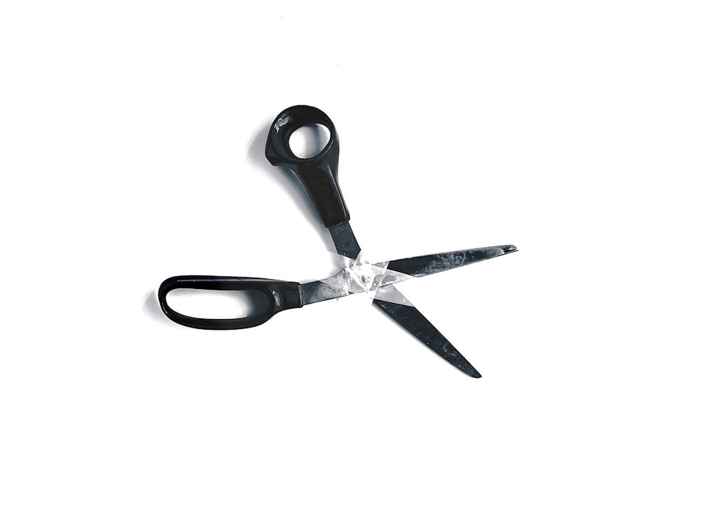 HQ] Scissors Pictures  Download Free Images on Unsplash