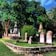A serene cemetery scene featuring a well-maintained headstone surrounded by blooming flowers.