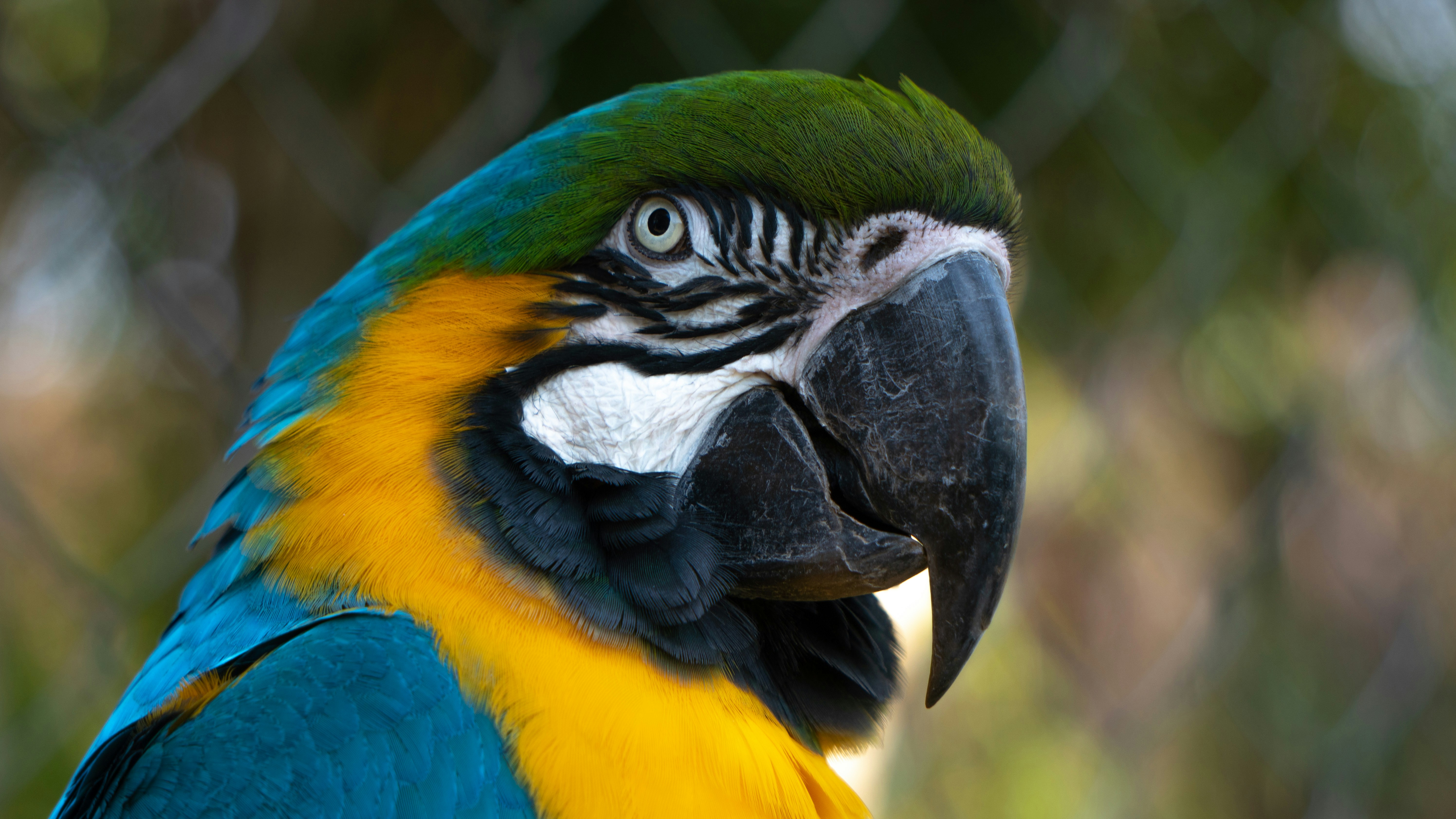 Photo by km_anderson