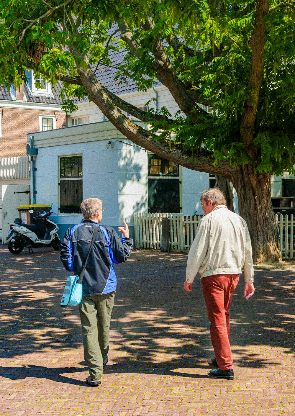 men walking near tree