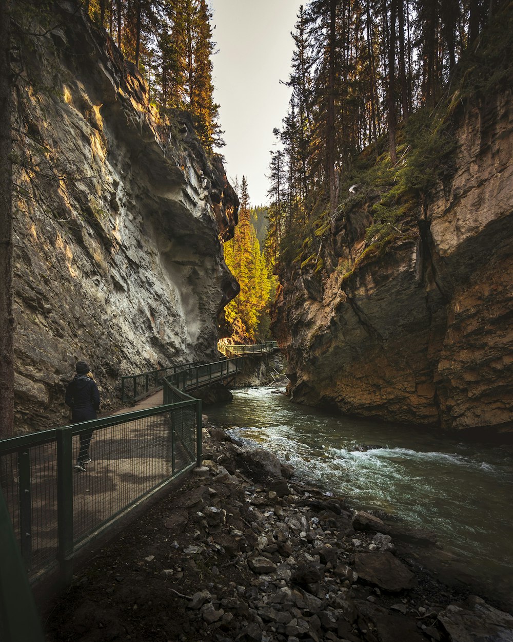 person walking beside river