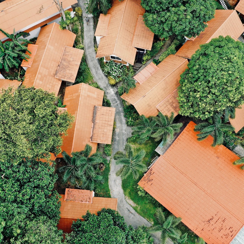 aerial photo of houses near green trees during daytime