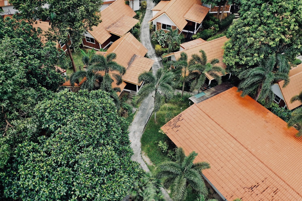 brown roofed houses