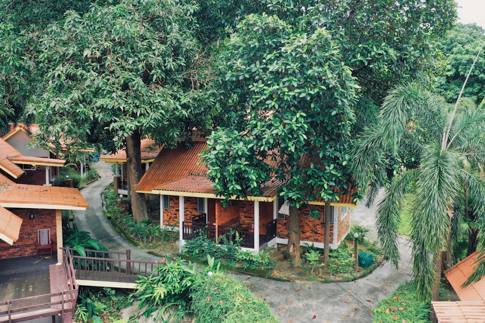 house and tree