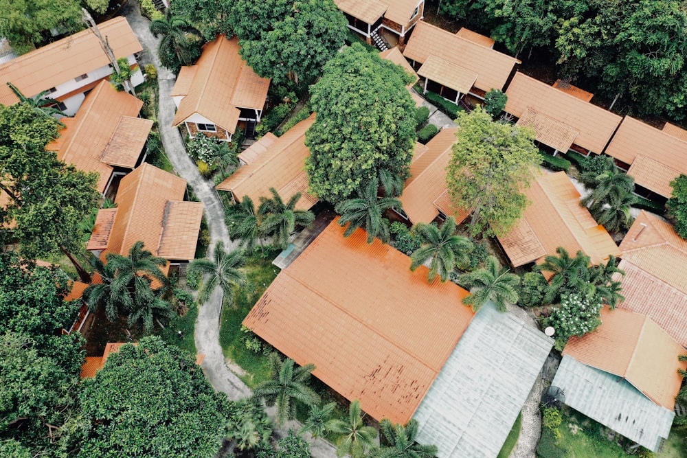 日中の住宅付近の樹木の航空写真