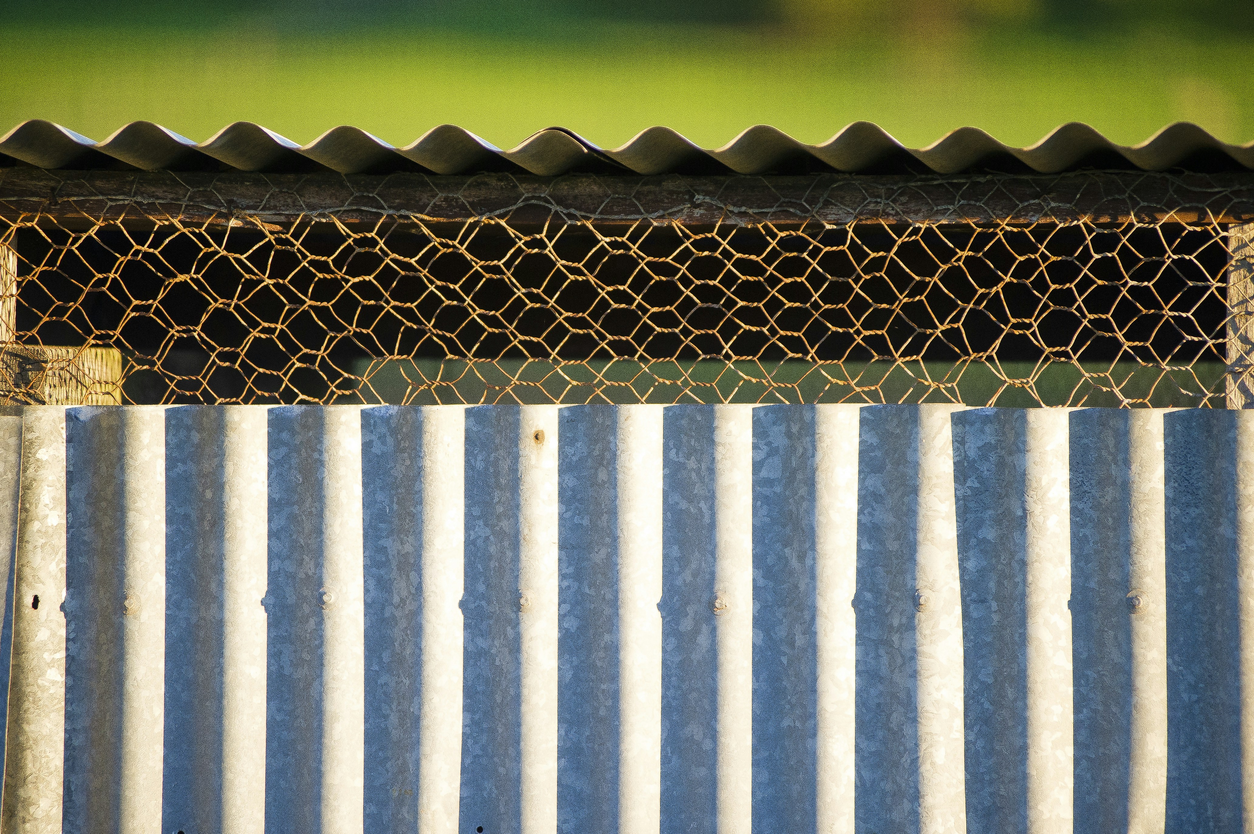 Photo by laurenhay23