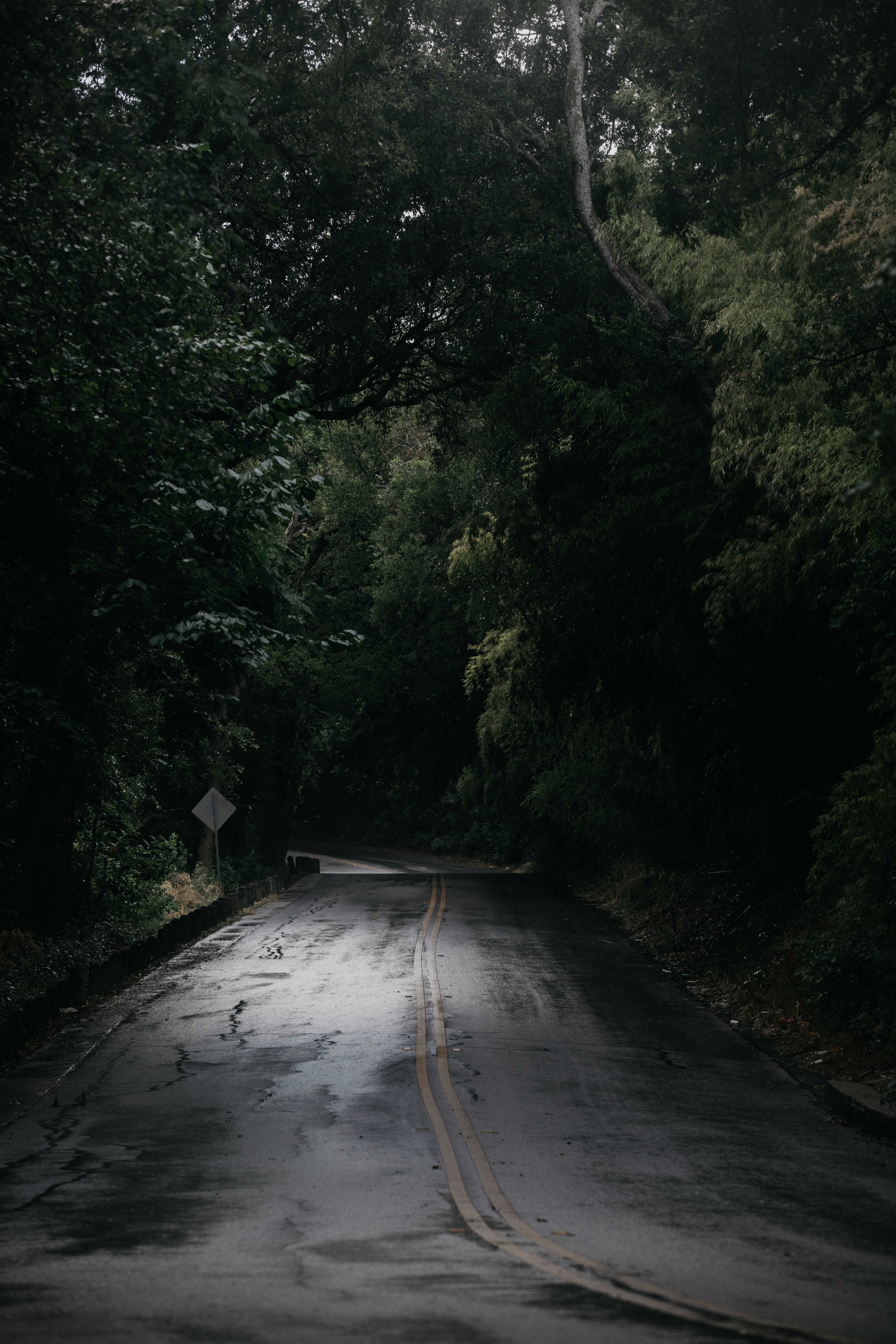 Photo by matthewwmcb