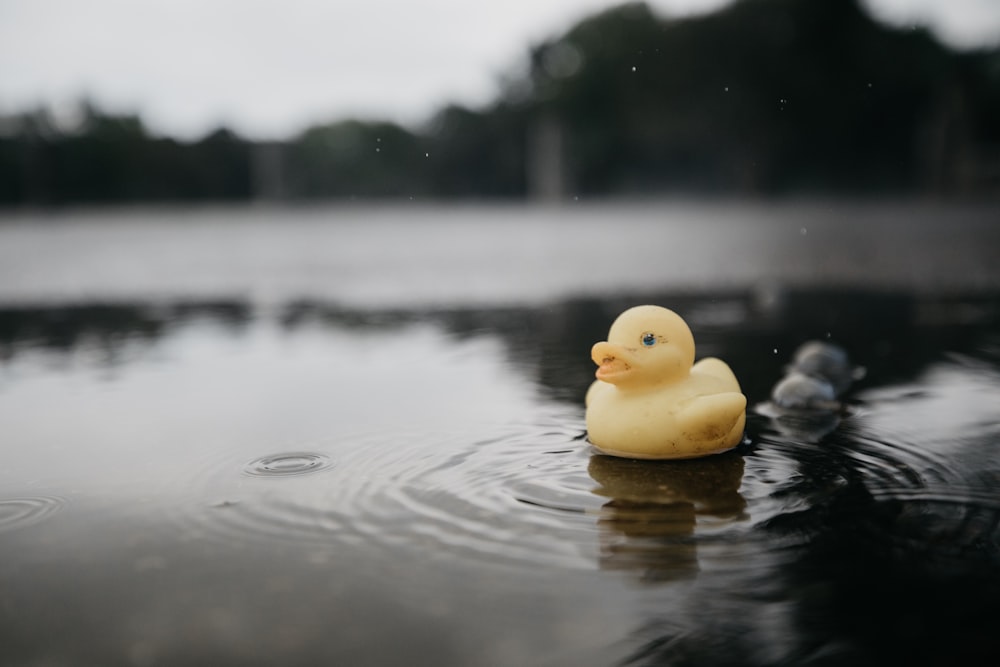 yellow floating duck toy