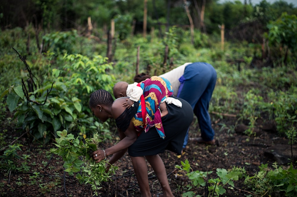 woman and man planting trees