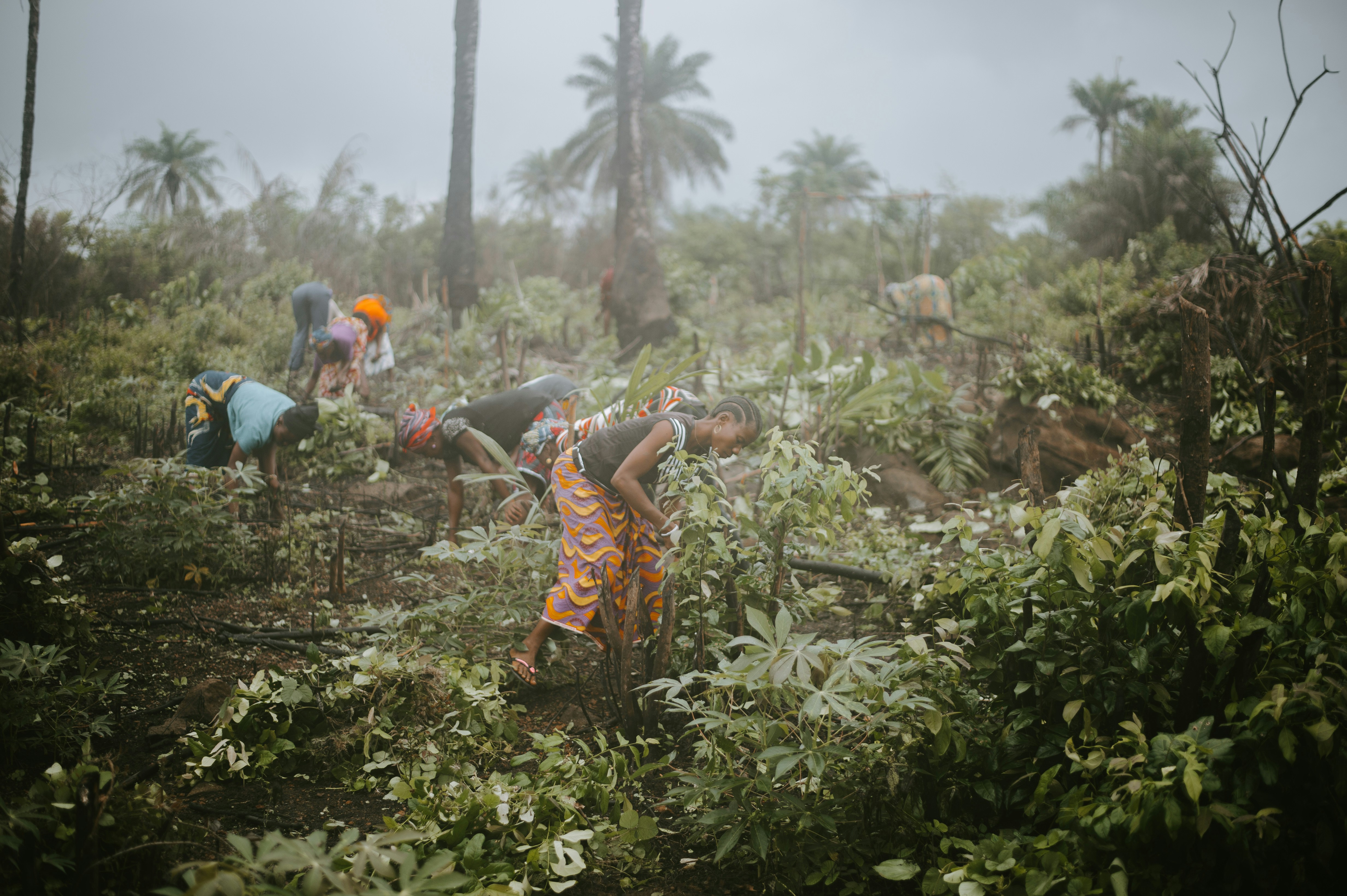 Photo by anniespratt