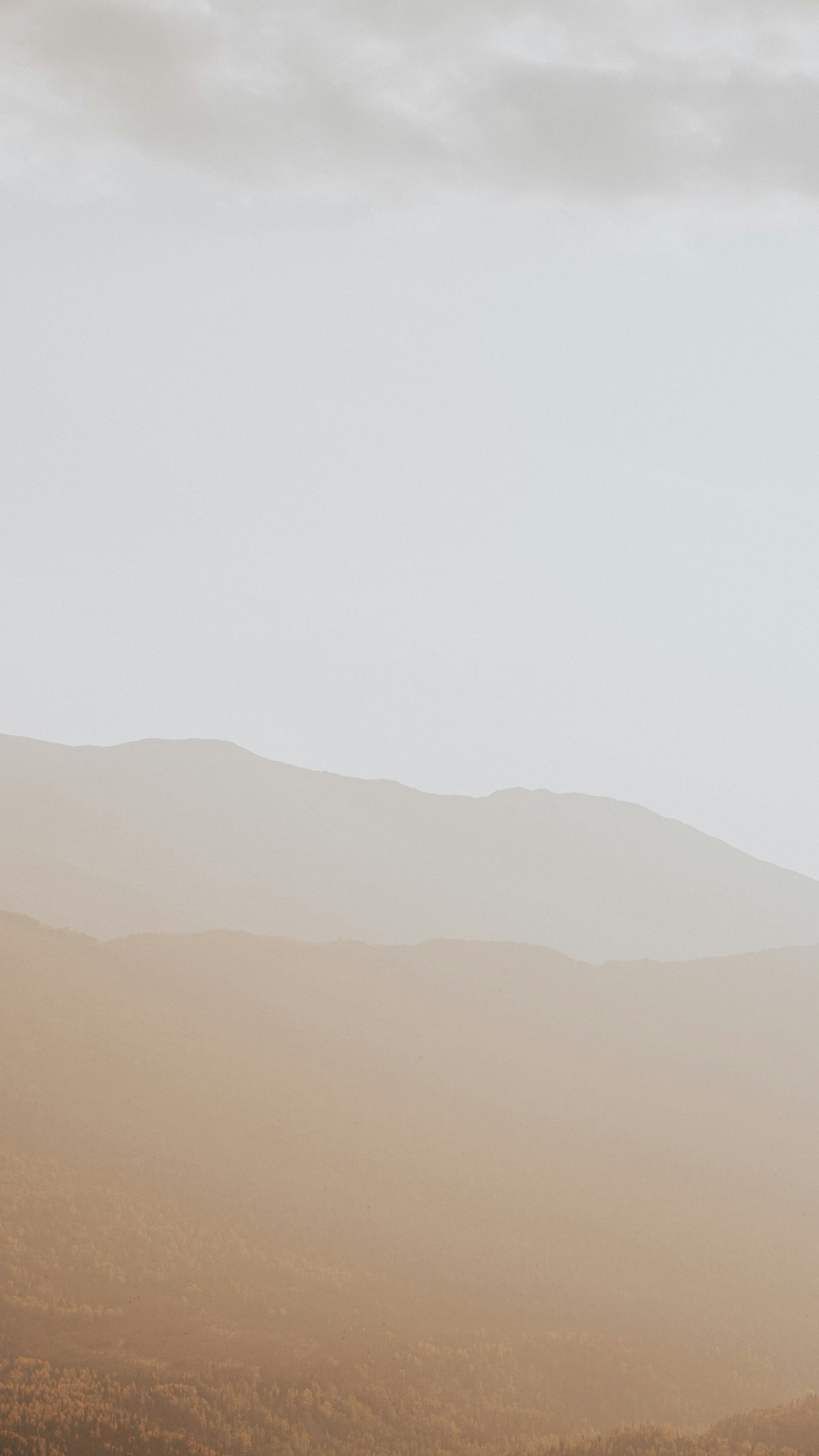 Photo by hanreinphoto