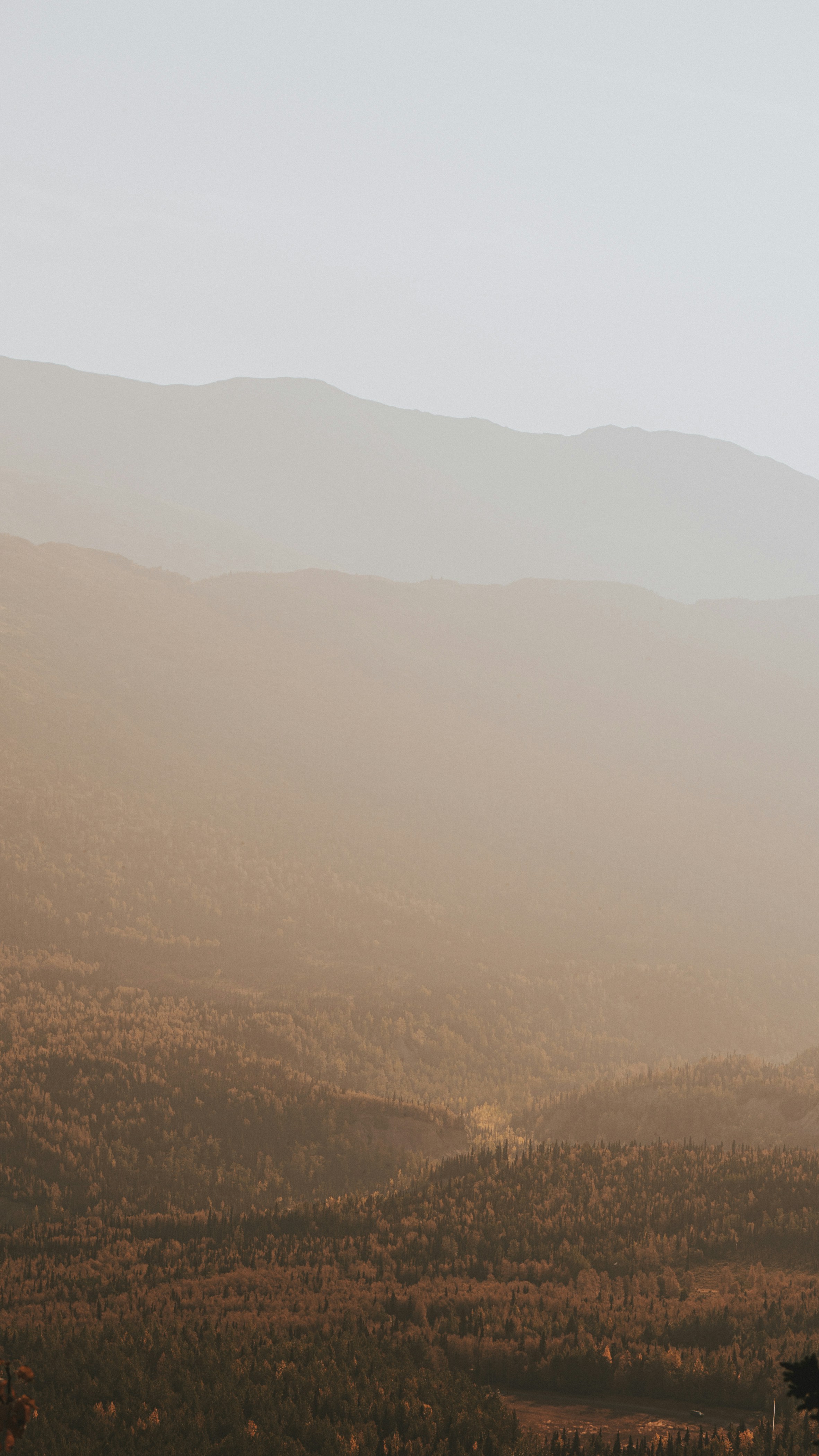 Photo by hanreinphoto