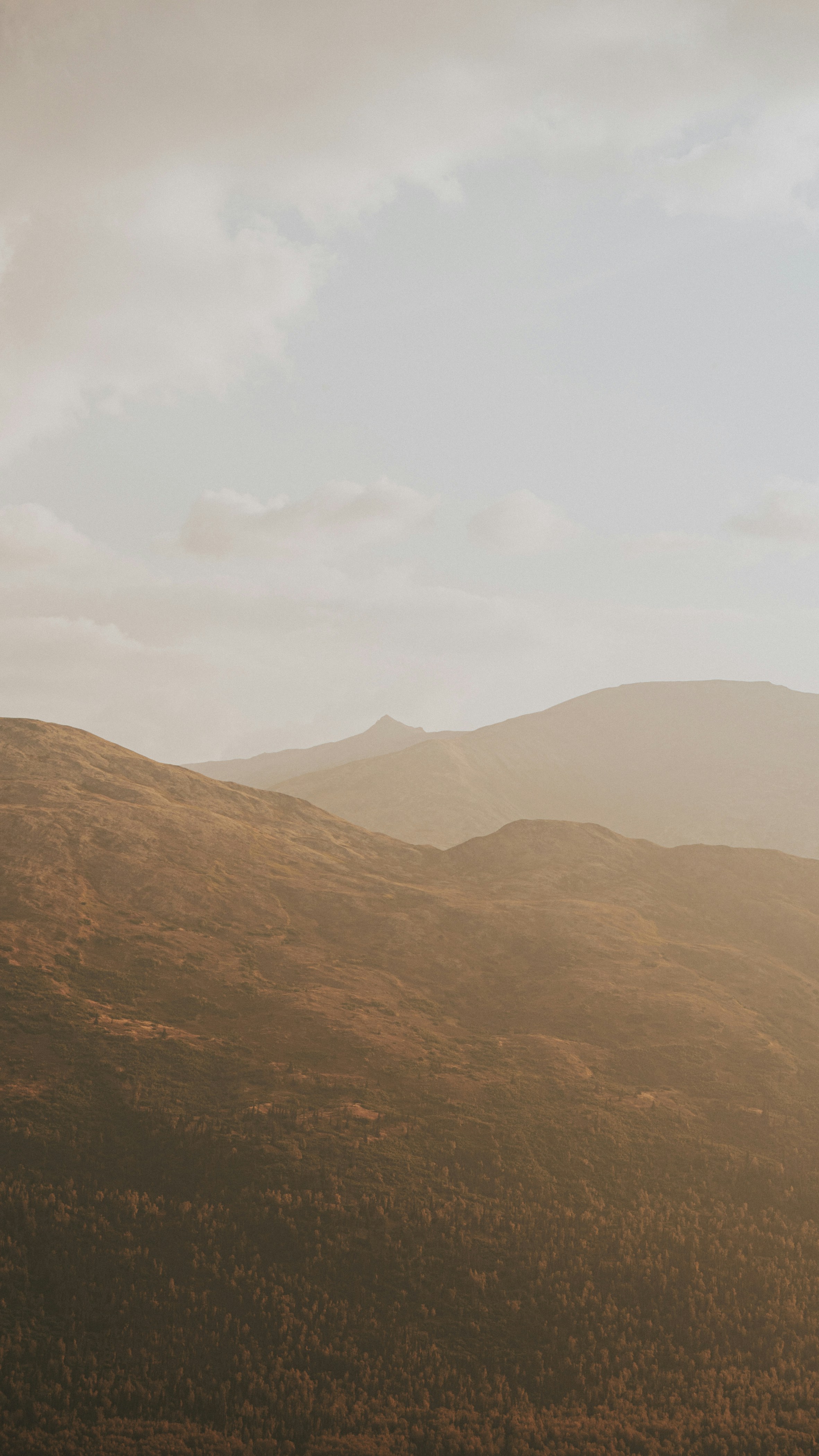 Photo by hanreinphoto